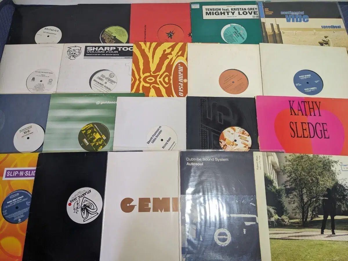 House LP ハウス CD 記録 118 腸