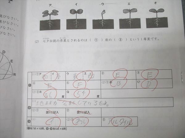 SAPIX デイリーサピックス 小学5年 理科 SAPIX 小5 理科 デイリー/サマーサピックス 2023年度版 通年セット 計