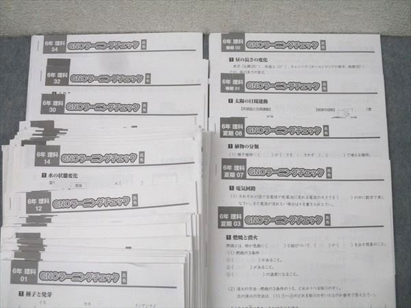 Gnoble 小学6年 GNOラーニング/春期/夏期 計45回分セット【テスト37