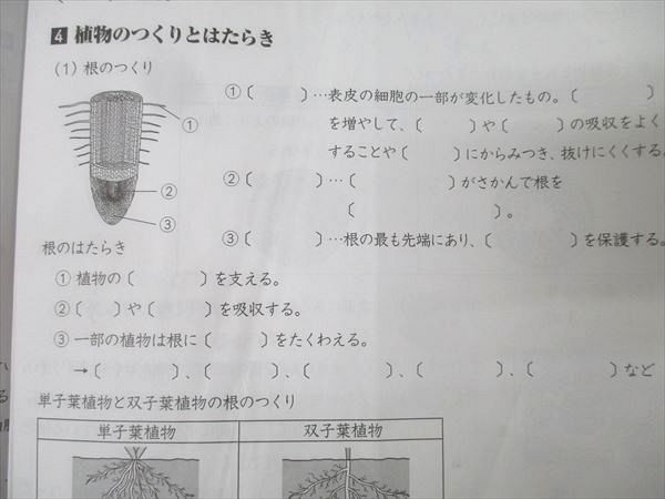 Gnoble 小学6年 GNOラーニング/春期/夏期 計45回分セット【テスト37