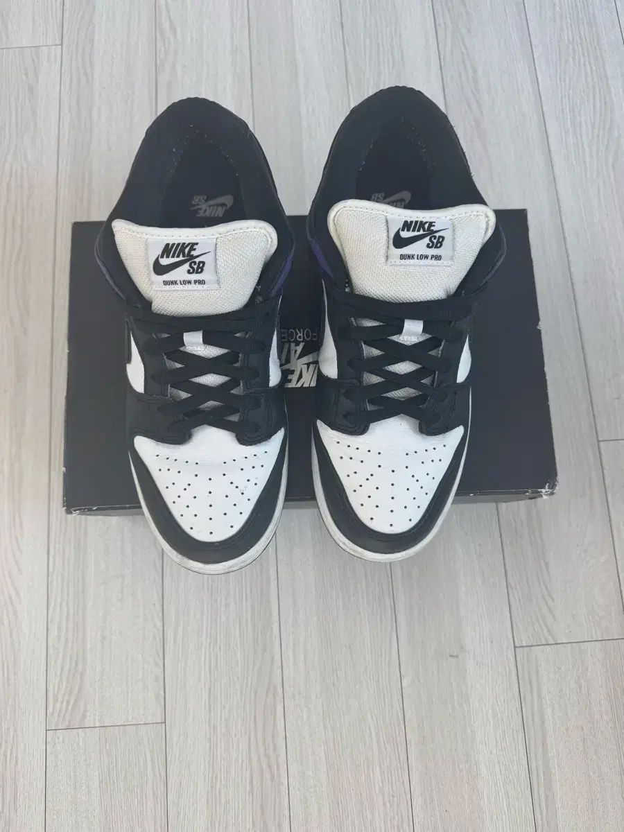 ナイキ SB ダンク ロー ブラック ファイパープル