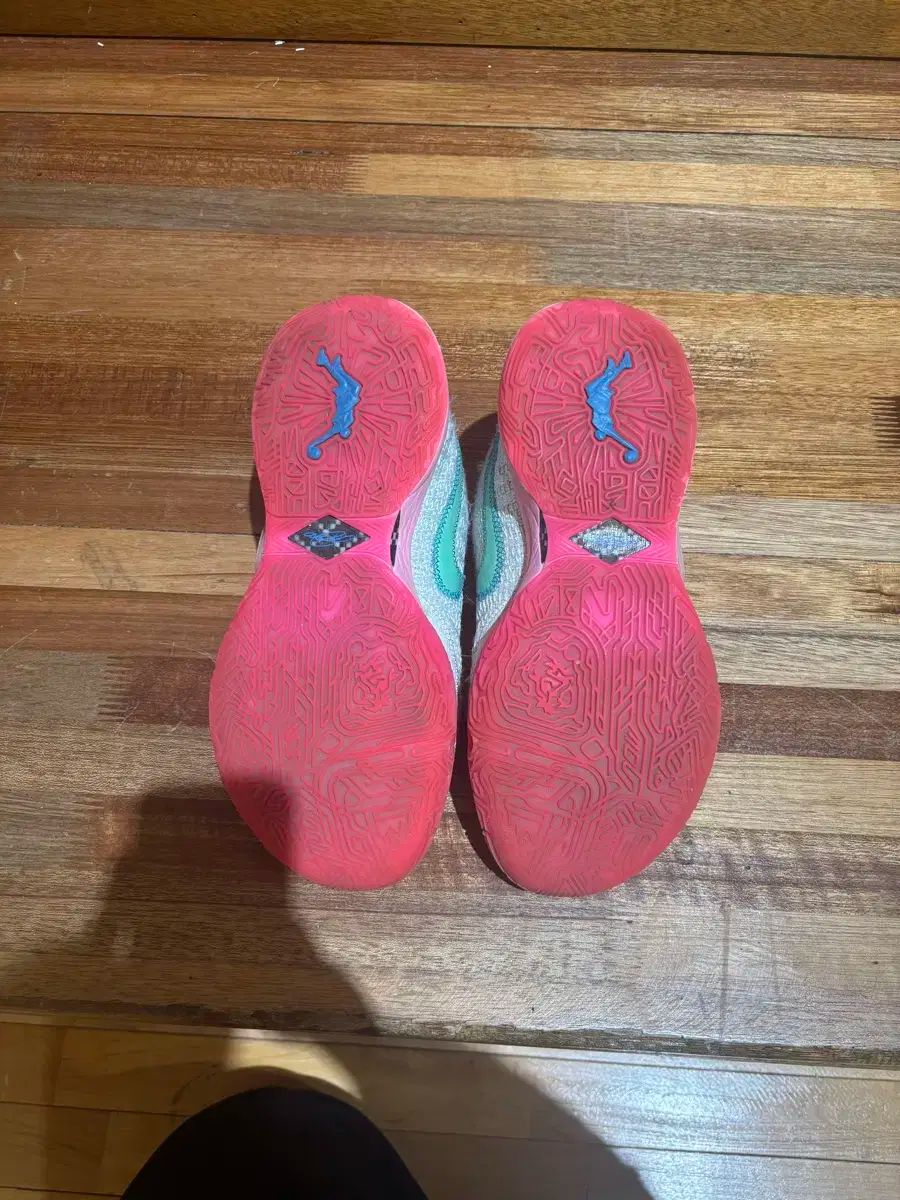 ナイキ レブロン