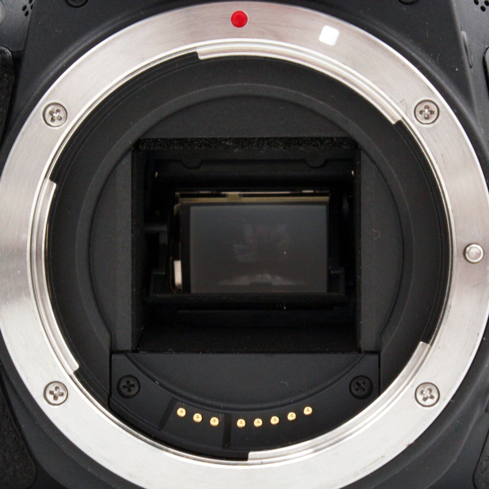 わずかシャッター数9609枚 級 CANON EOS 9000D 7813