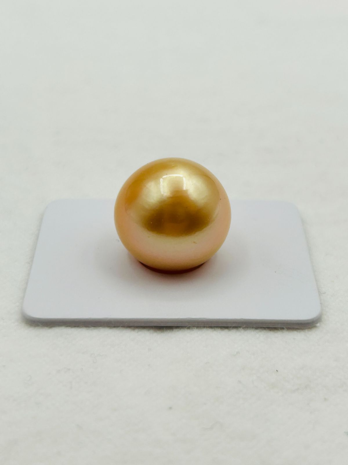 真珠 南洋 白蝶 ナチュラルゴールド パール ルース 16.0㎜UP 1 PCS South Sea Pearl G 南洋金珠