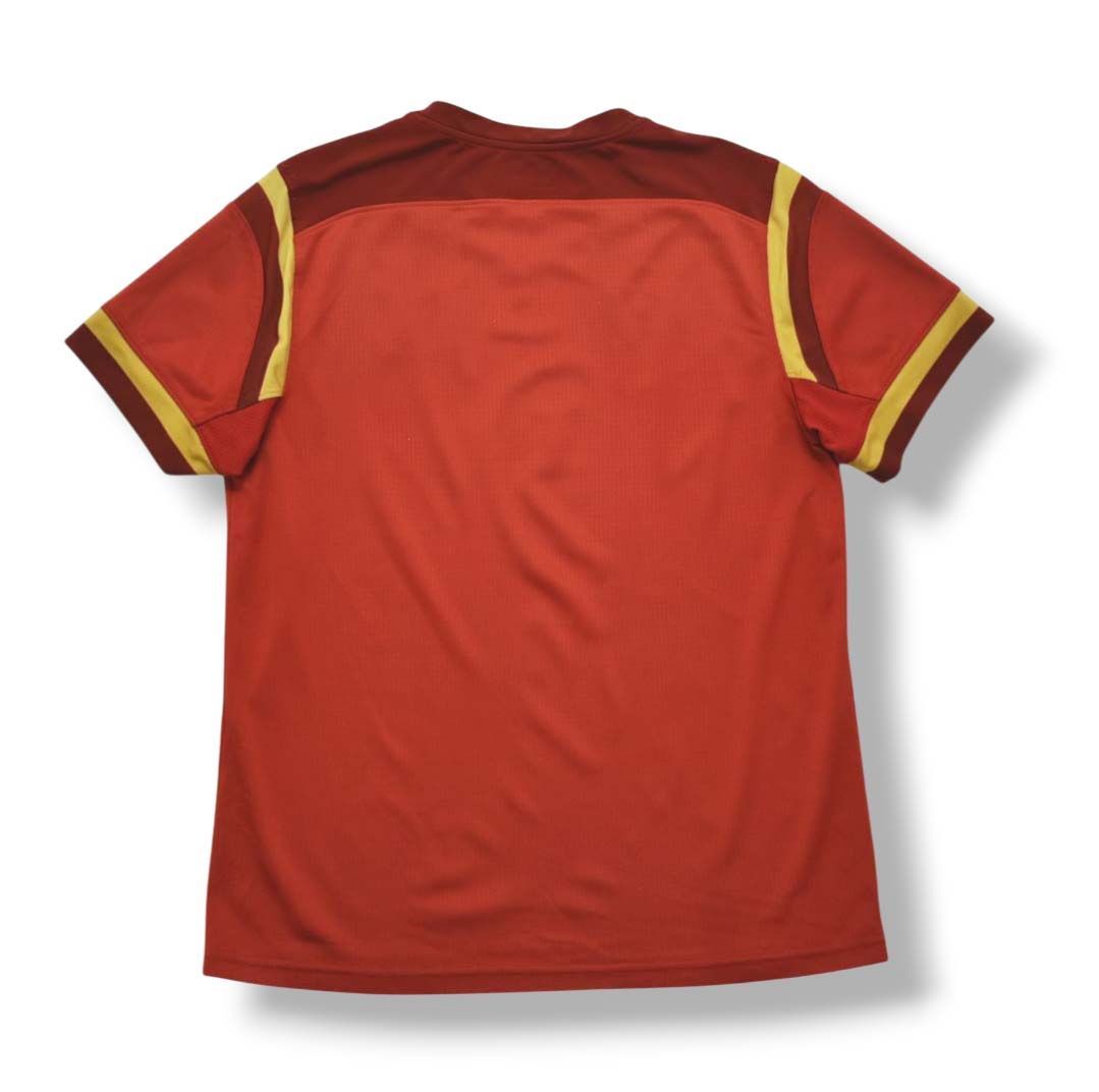 ウェールズ代表 HOME