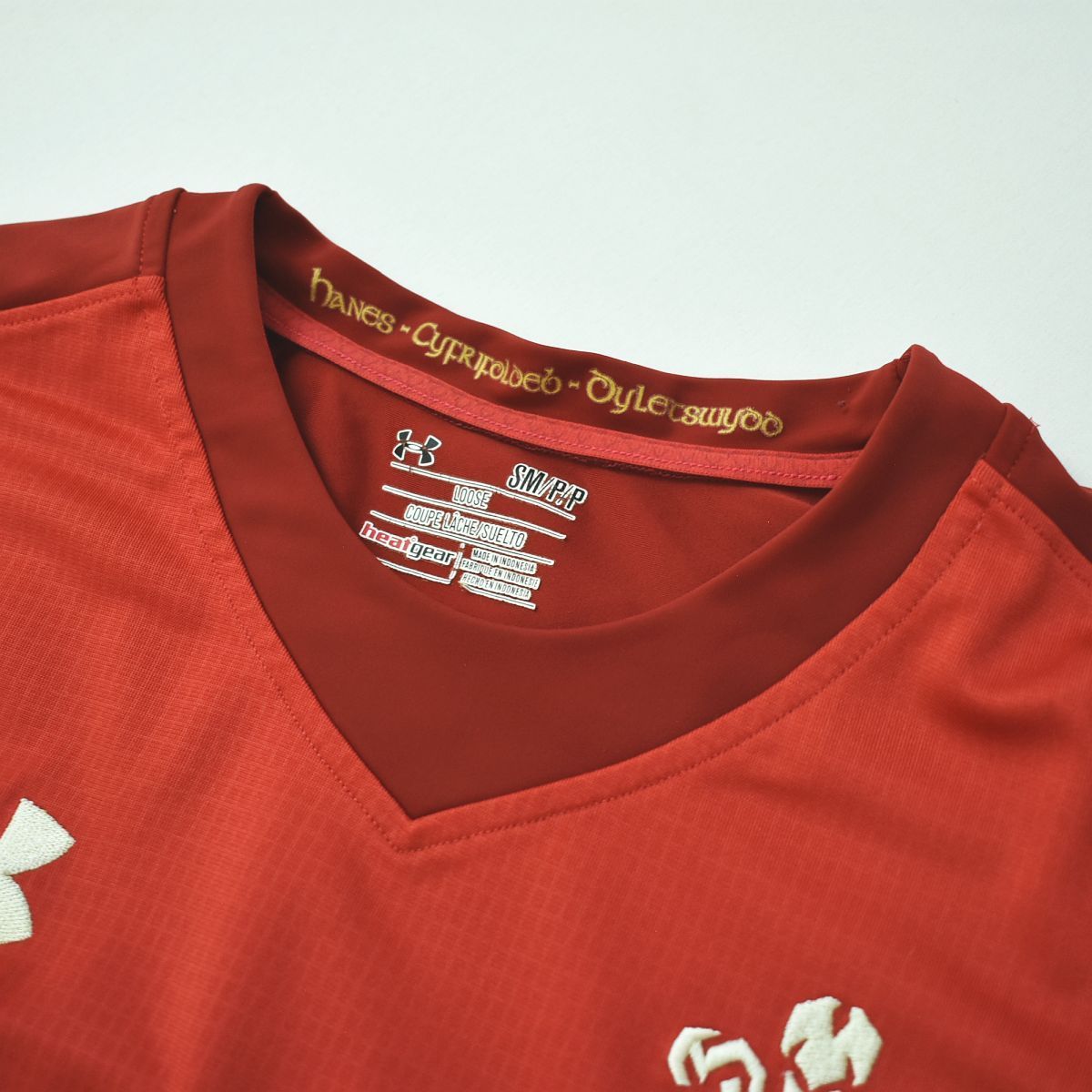 ウェールズ代表 HOME