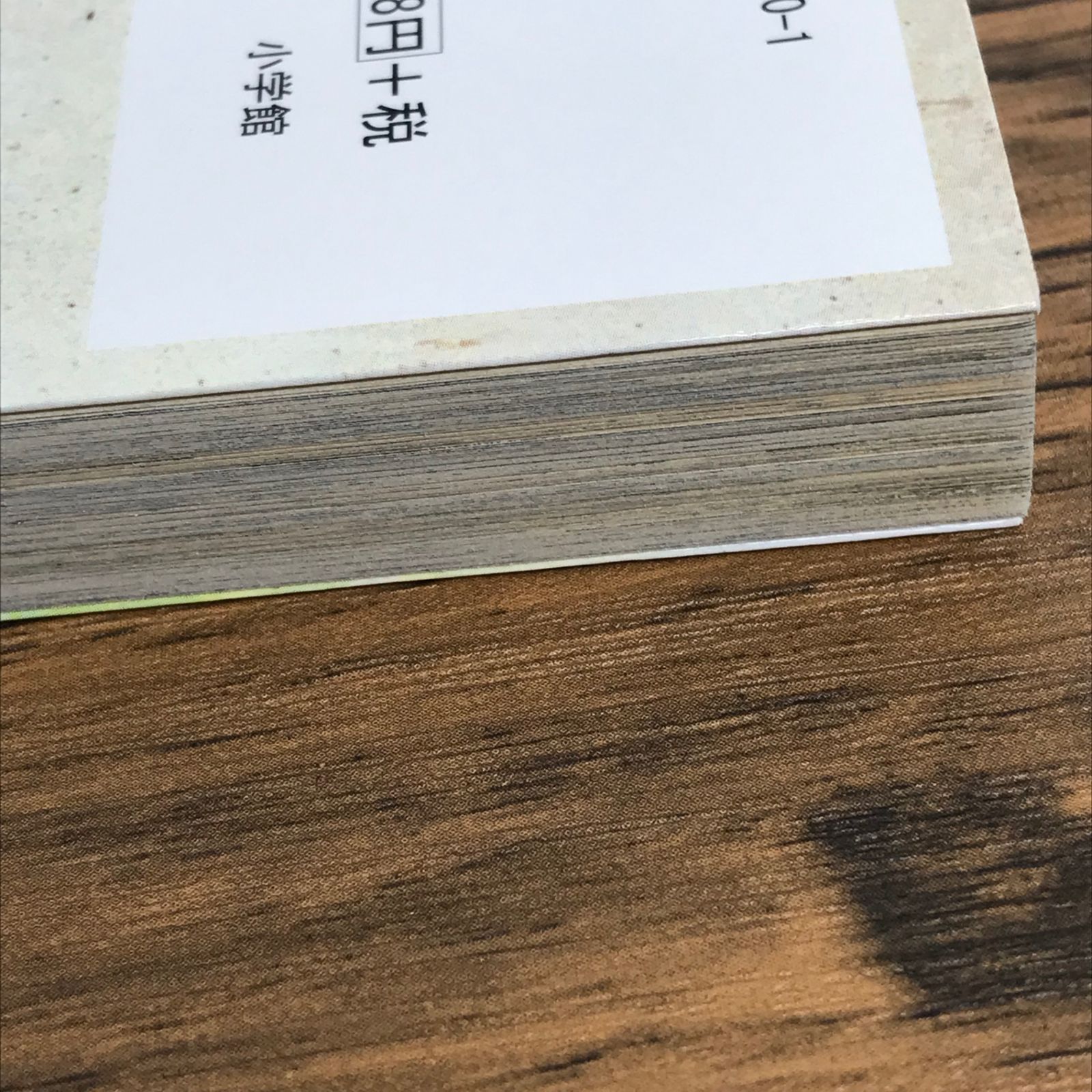 信長協奏曲 のぶながコンツェルト 1巻/【作者】石井あゆみ/0225044020