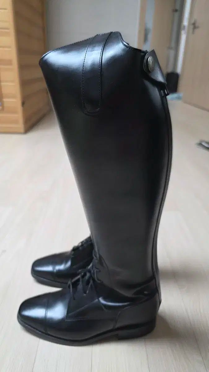ゴールデンホース 乗馬 ロングブーツ レースアップ245