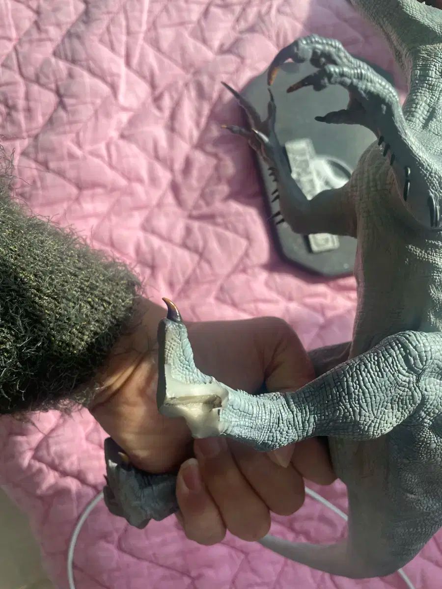 万Long堂 インドミヌス レックス ボックスx