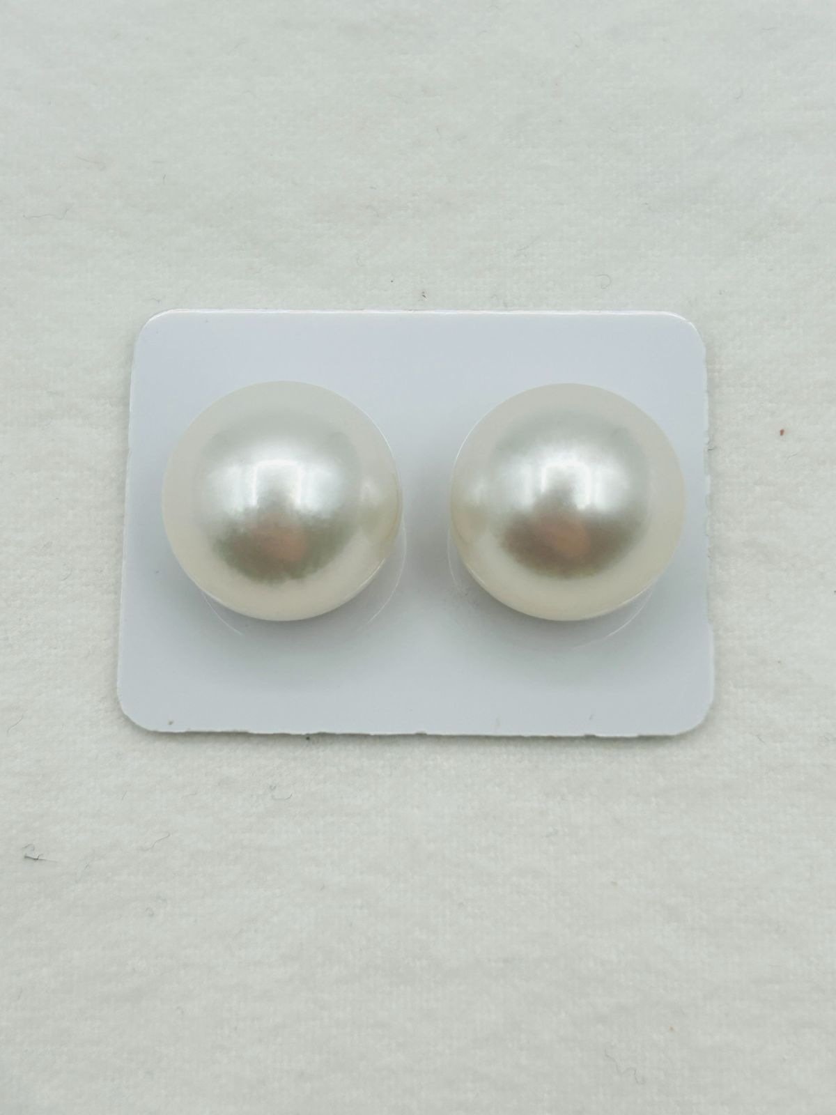 超ビッグサイズ 白蝶 真珠 南洋 パール フェニックス ペアルース 15.5 mm 真珠科学研究所 Phoenix 鳳凰