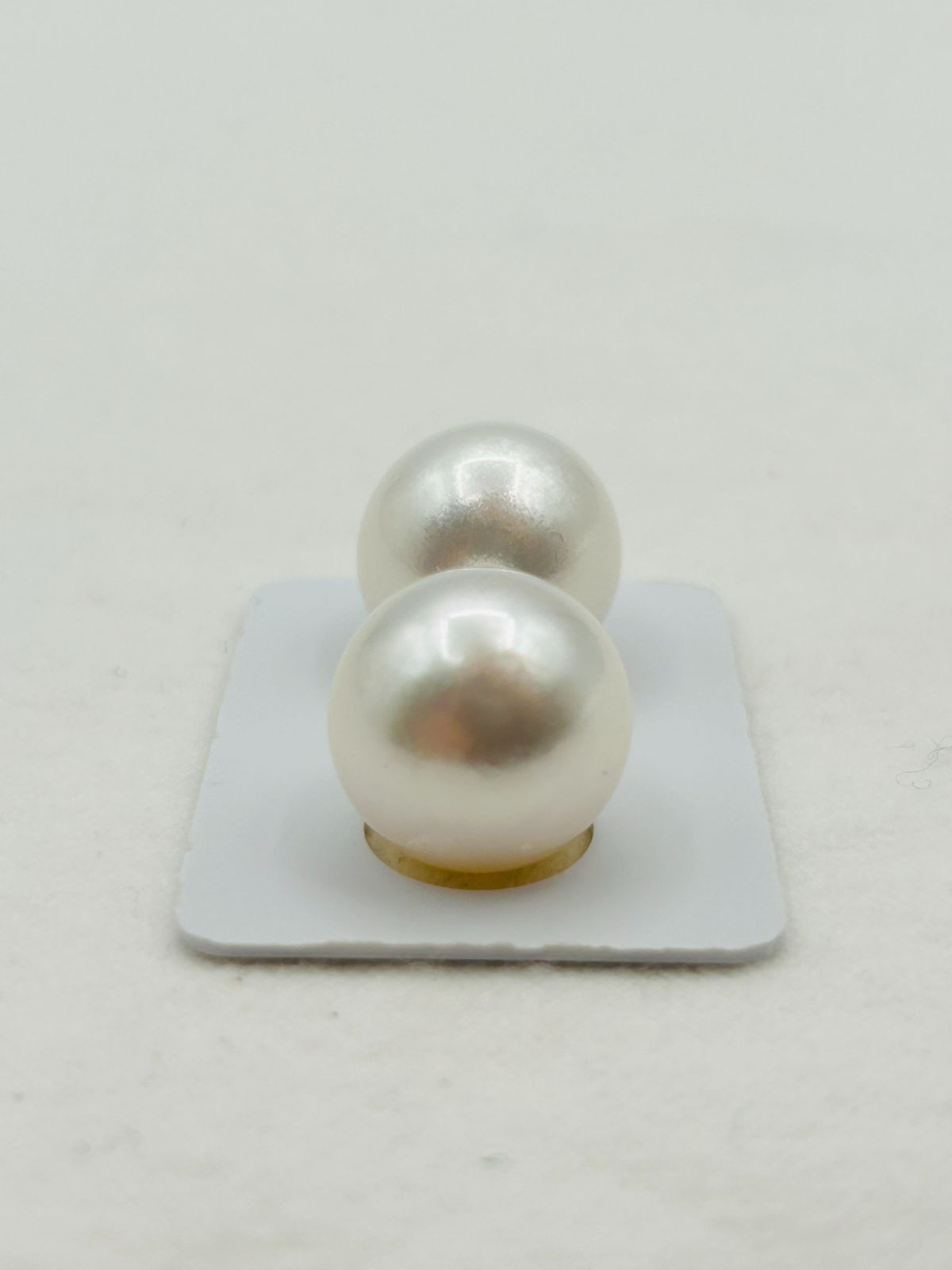  超ビッグサイズ 白蝶 真珠 南洋 パール フェニックス ペアルース 15.5 mm 真珠科学研究所 Phoenix 鳳凰 その他 アクセサリー