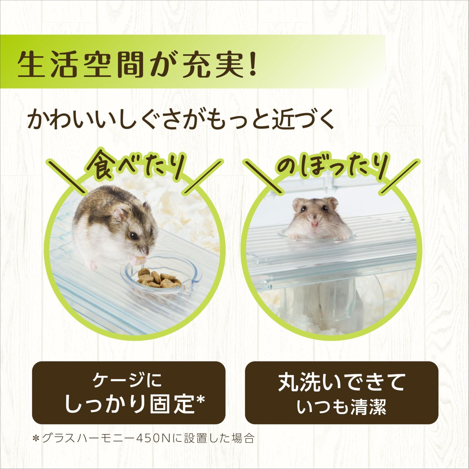 数量限定】ジェックス Harmony ハーモニーランウェイ450 グラス