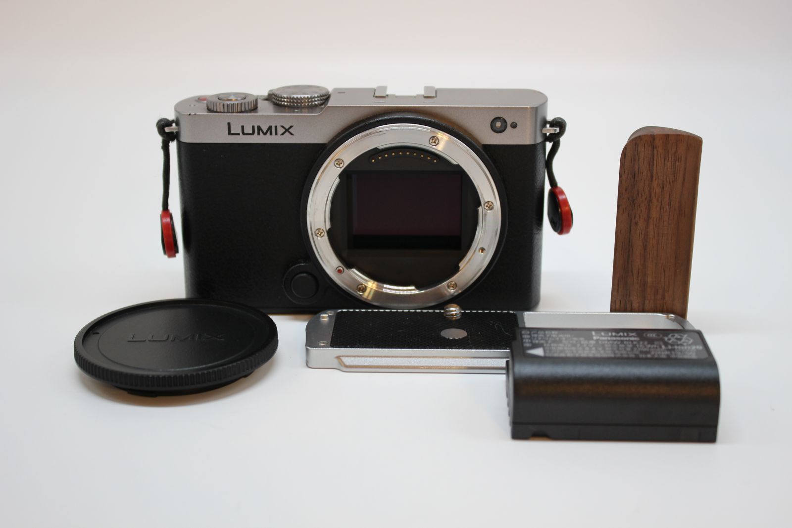 上品 PANASONIC ルミックス S9-S ボディ ダークシルバー DC-S9-S 26516