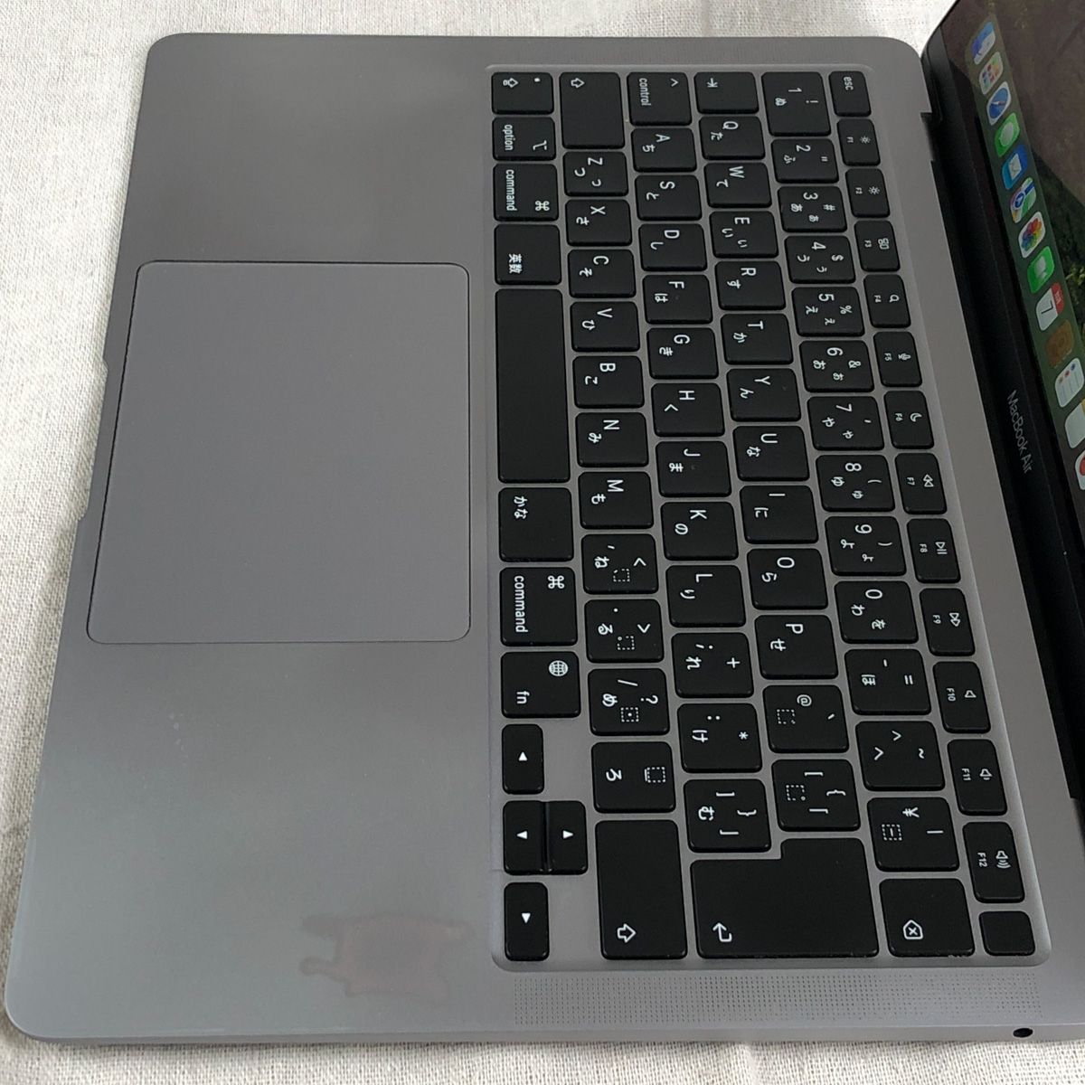 511my18△袋帯 プラチナ箔二重織 牡丹 菊 桔梗 地紙 フォーマル金△美品