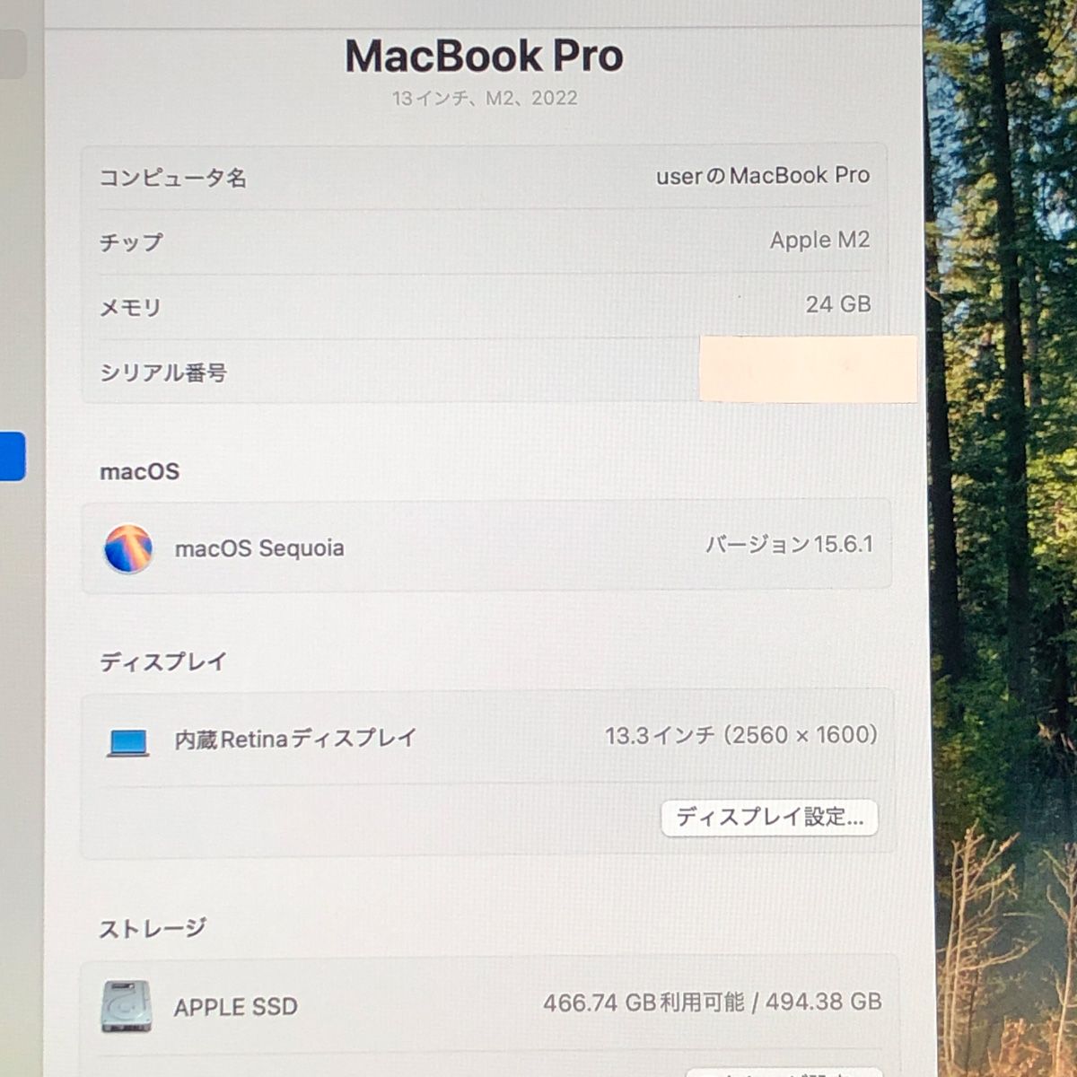 ジャンク MacBook Pro M2 24GB/512GB 画面色異常 A2338 - メルカリ