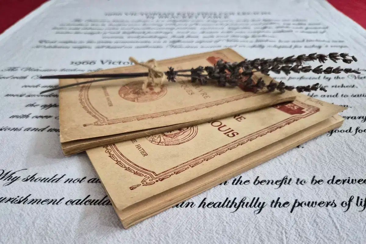 フランス Les Classiques Pour Tous 古典文学 本 セット