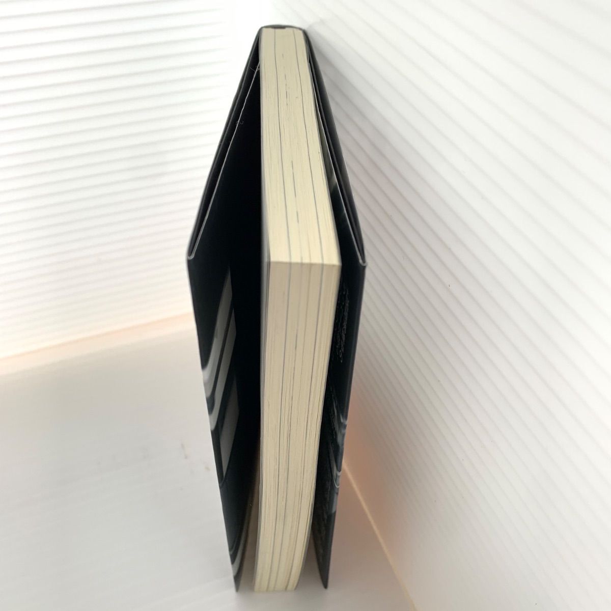 ANARCHY アナーキー NEW YANKEE 初回特典 痛みの作文 文庫本 非売品