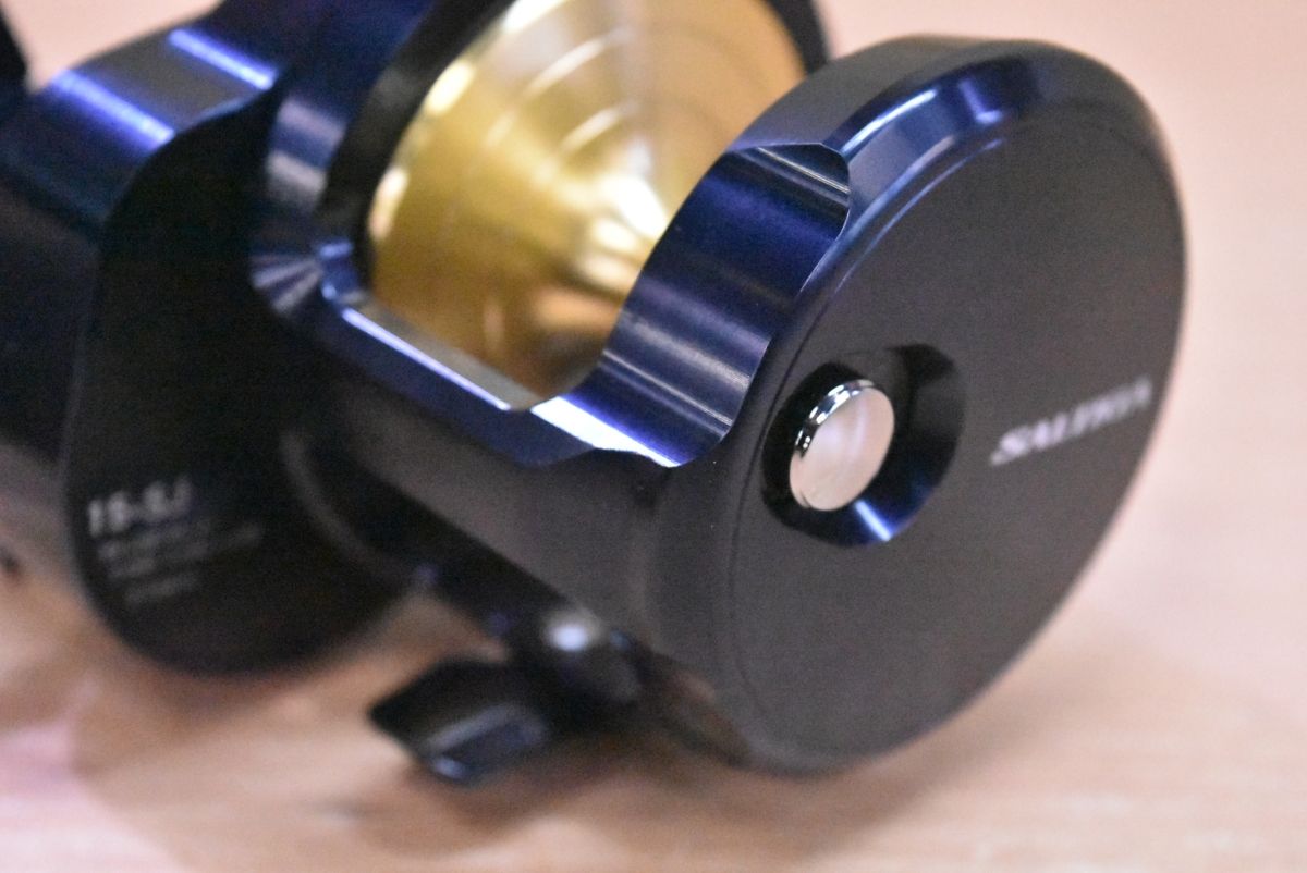 ダイワ 22 ソルティガ 15-SJ 右 DAIWA SALTIGA ベイトリール オフショア ジギング ブリ ヒラマサ 等