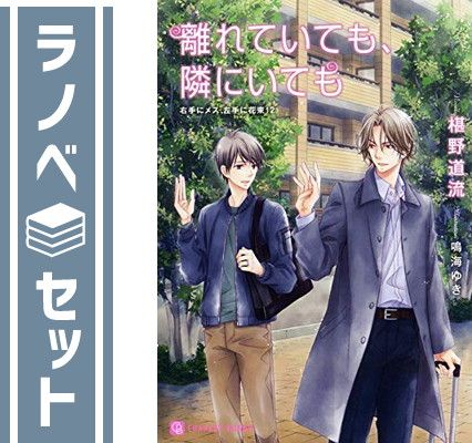 【品質保証，新品】 【セット】右手にメス、左手に花束 シリーズ ライトノベル 1-12巻セット [Unknown Binding] その他