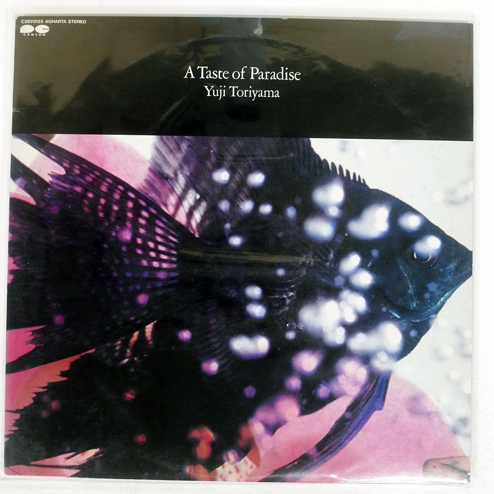 帯 盤 鳥山雄司 アテイストオブパラダイス AGHARTA C28Y0125 LP