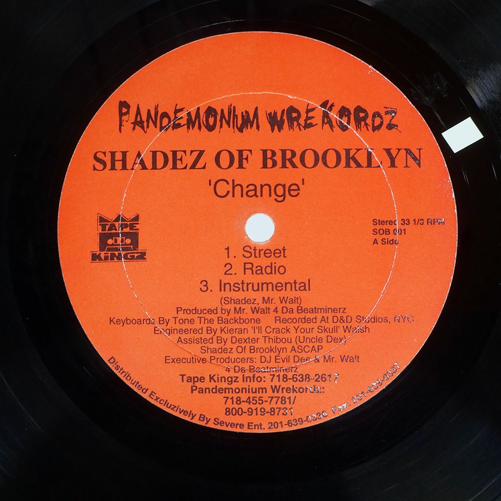 US盤 SHADEZ OF BROOKLYN CHANGE PANDEMONIUM WREKORDZ SOB001 12