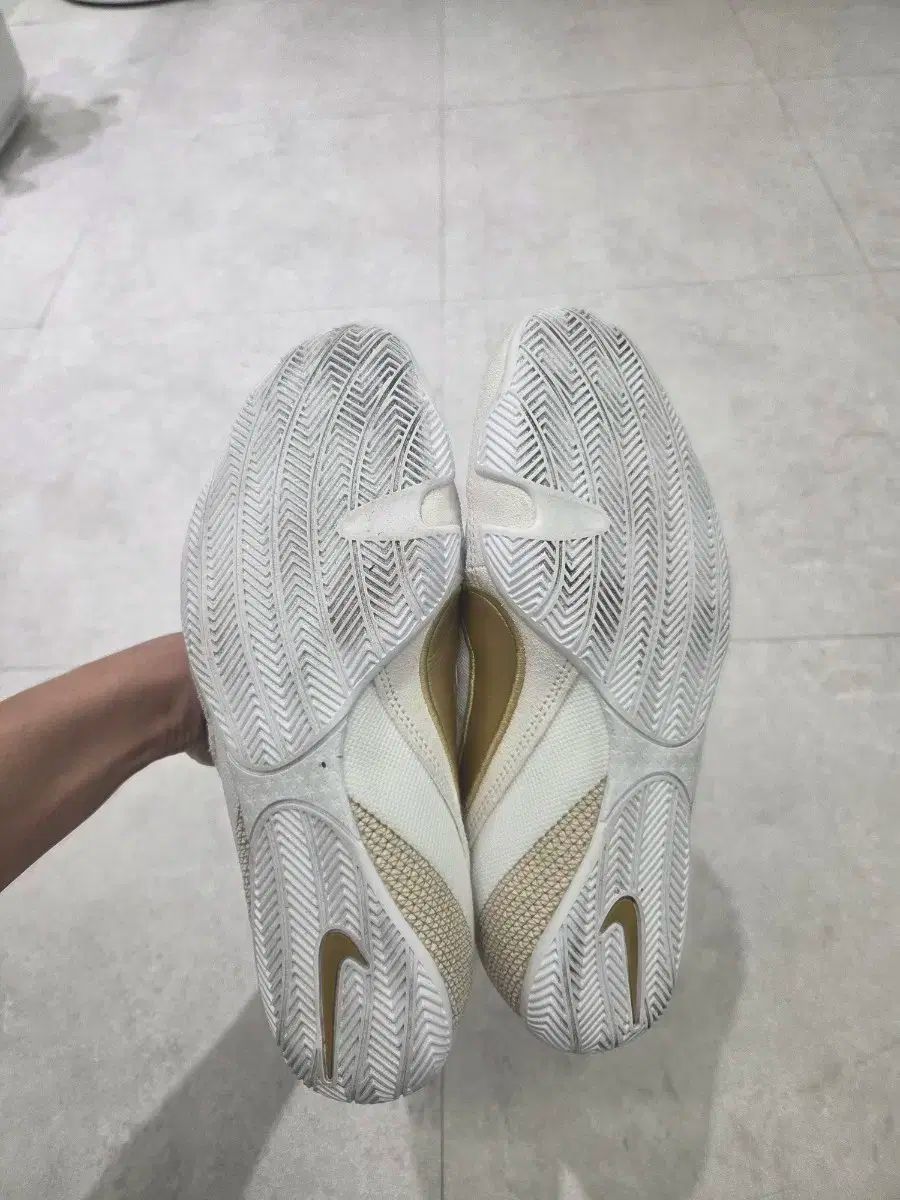 GOLD ボクシング