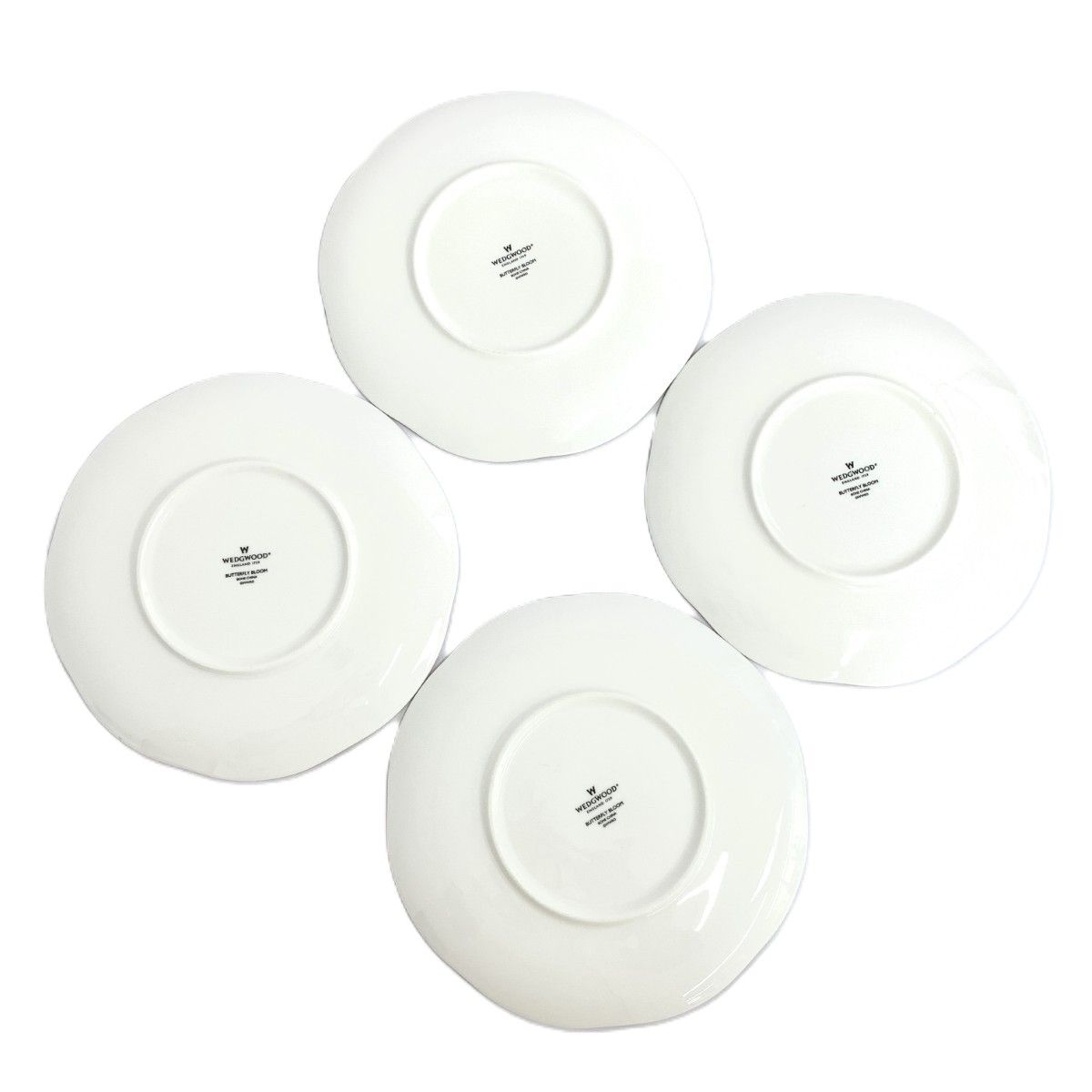 バタフライブルーム 21㎝