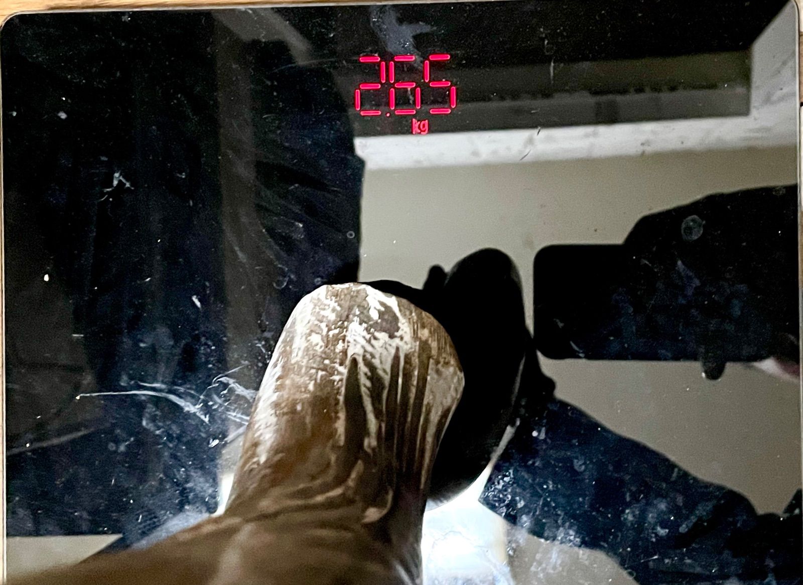 大きめ 深海松 天然 海松 レインボーコーラル 希少 重量約2.5kg 全長約