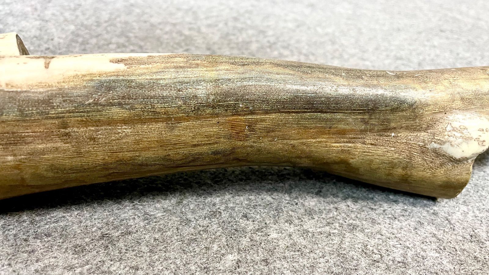 大きめ 深海松 天然 海松 レインボーコーラル 希少 重量約2.5kg 全長約