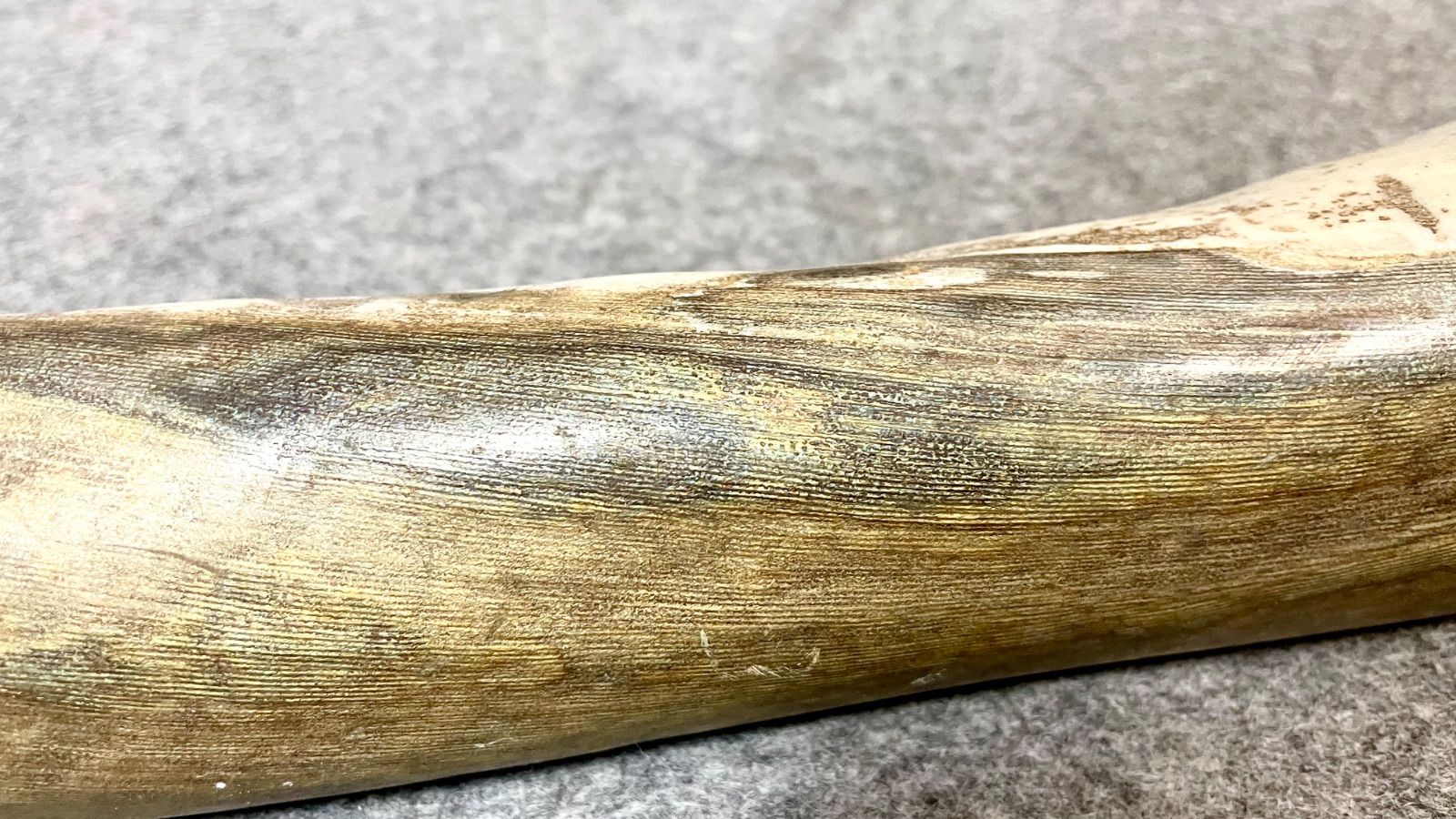 大きめ 深海松 天然 海松 レインボーコーラル 希少 重量約2.5kg 全長約