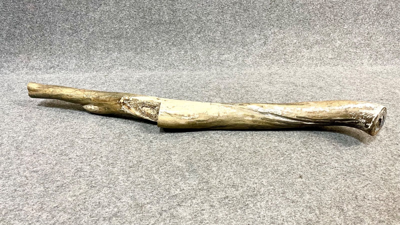 海松 レインボーコーラル