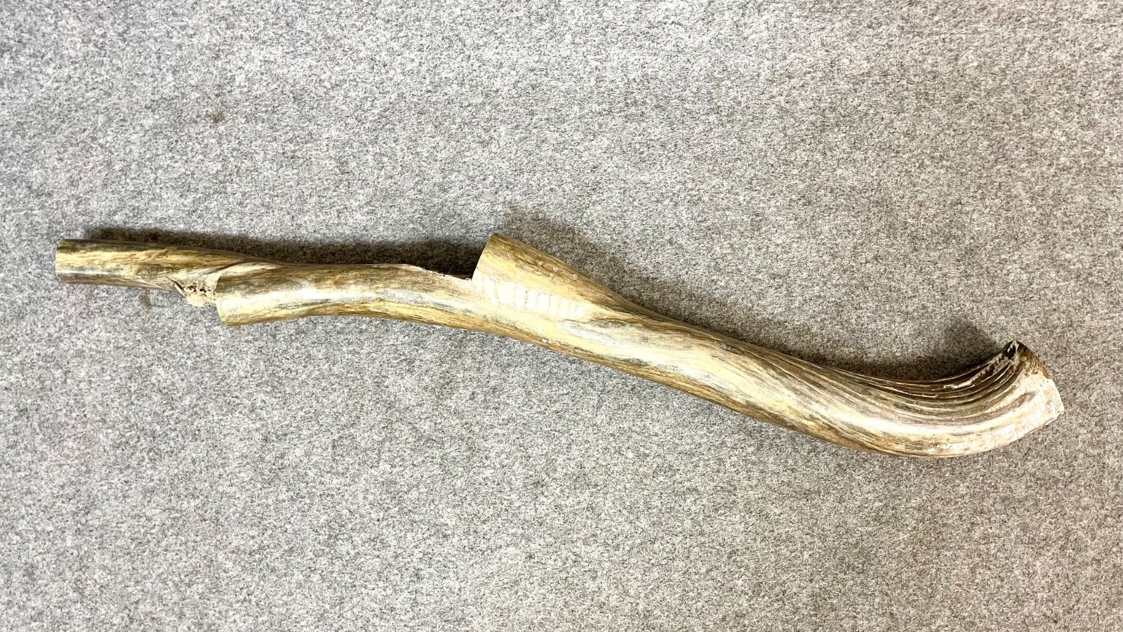 大きめ 深海松 天然 海松 レインボーコーラル 希少 重量約2.5kg 全長約