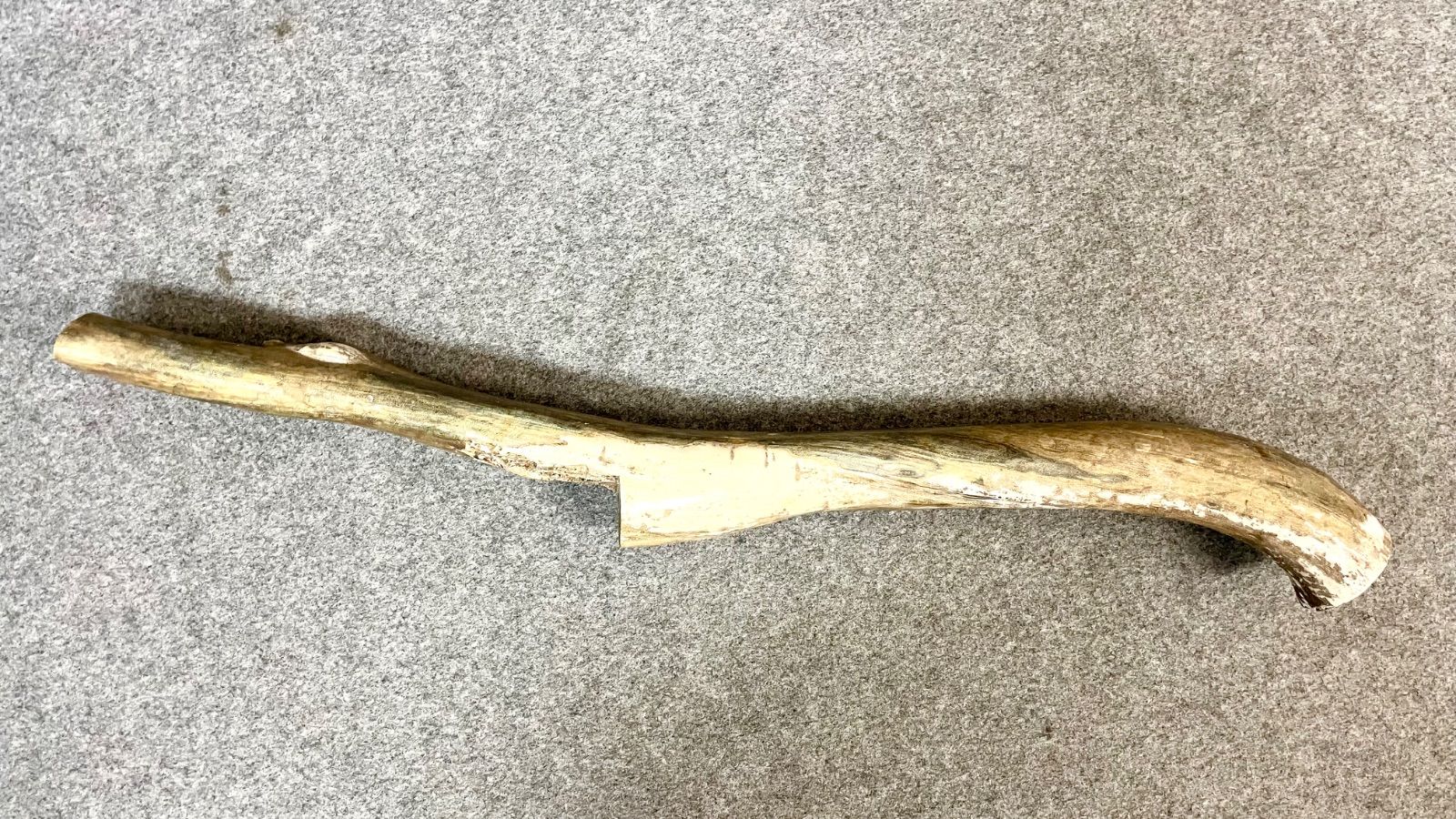  深海松 天然 海松 レインボーコーラル 重量約2 5kg 全長約73cm 小物マット 置物 インテリア小物