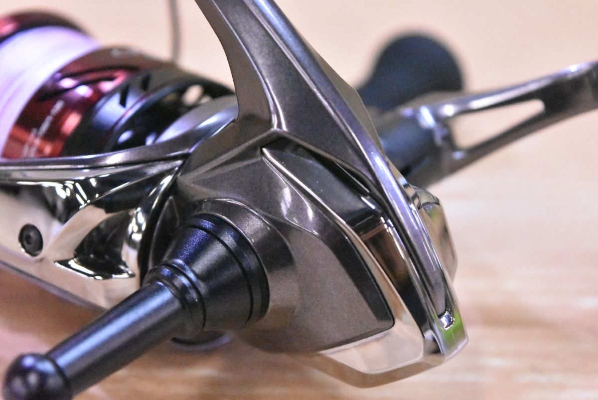 エギング アオリイカ