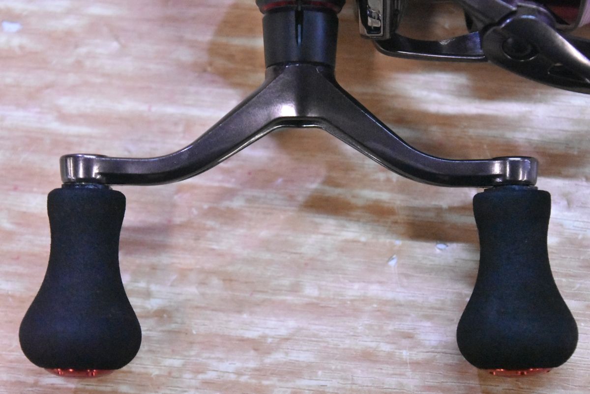 エギング アオリイカ