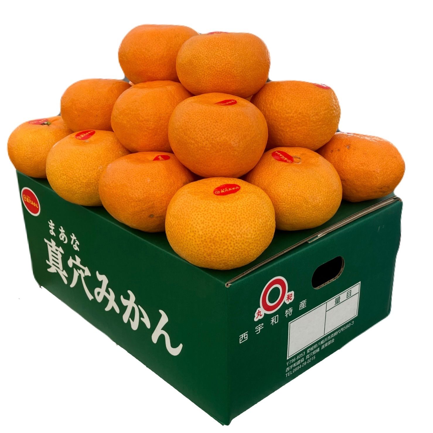 愛媛県産 真穴みかん 2L 約3kg ラッピング済 - メルカリ