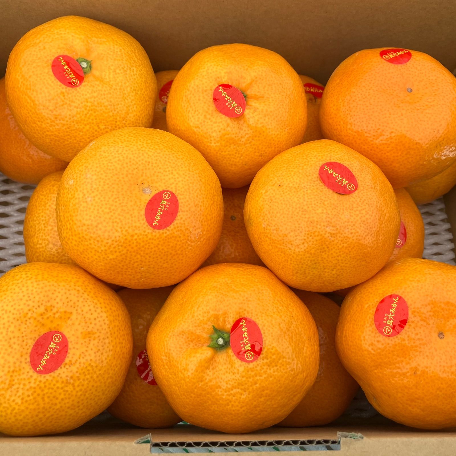 愛媛県産 真穴みかん 2L 約3kg ラッピング済 - メルカリ