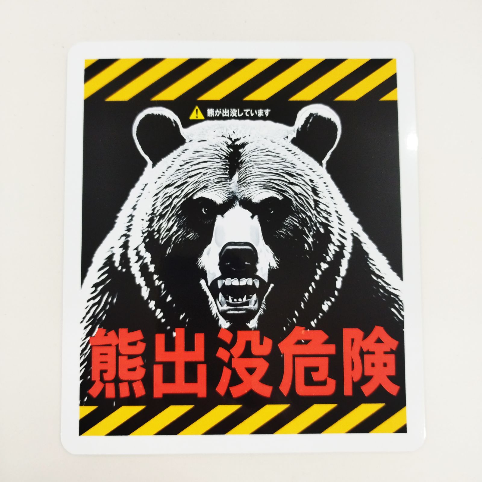 10枚セット🎵 大サイズ！新品🎵🐻🐻🐻🐻🐻🐻送料込🎵 おまけ付き商品