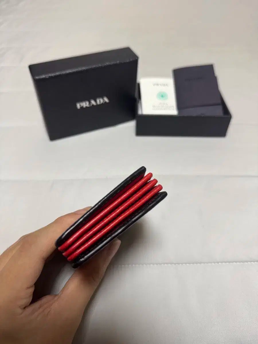 Vitello アコーディオン