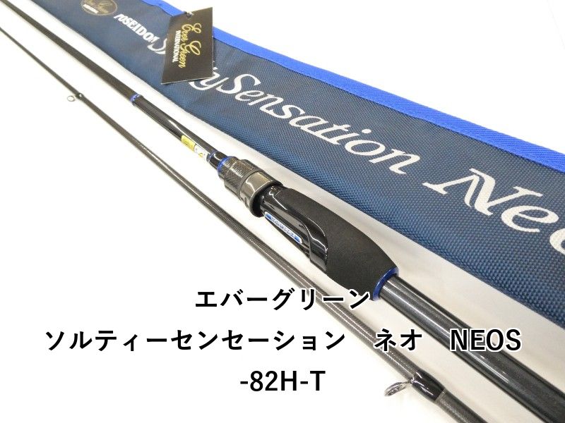エバーグリーン ソルティーセンセーション ネオ NEOS-82H-T 01-8111270003