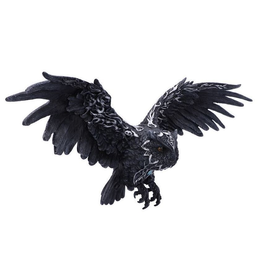  NEMESIS NOW Dark Feather 55cm 闇の翼 壁掛けオーナメント デスク飾り 置物 インテリア小物