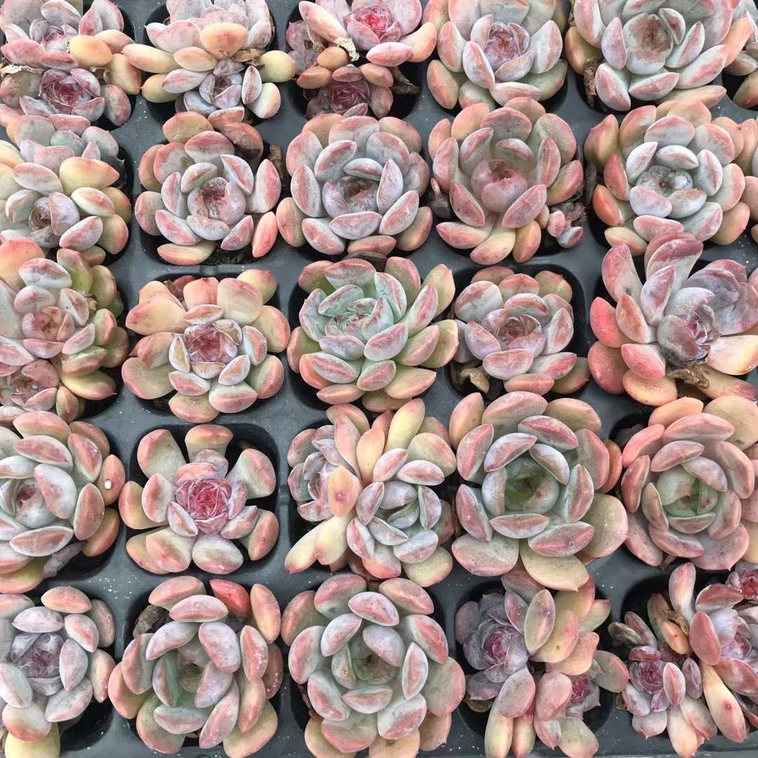 美品・i7・GeForce・Office 2024・Win11・ゲーム・動画編集