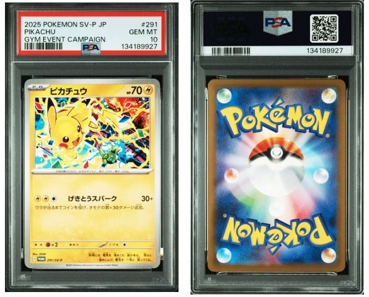 PSA10】ピカチュウ 291/SV-P ジムバトル プロモ