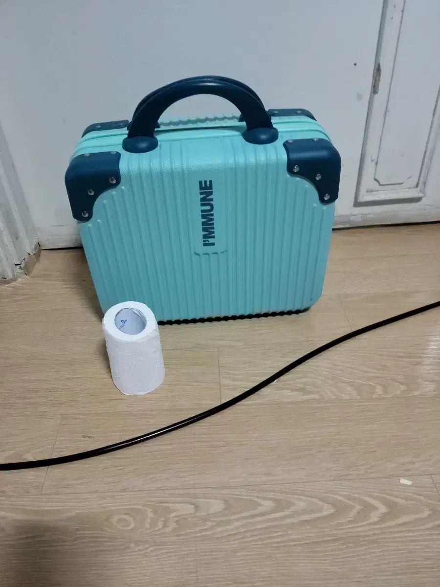 I MMUNE アイミューン ミニ キャリアーバッグ スカイブルー 旅行用