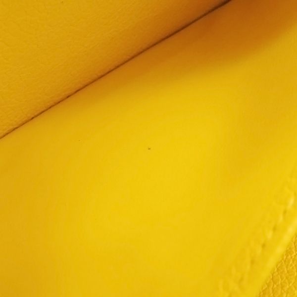 ギンコイエロー