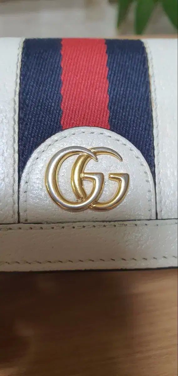 グッチ オフィディア