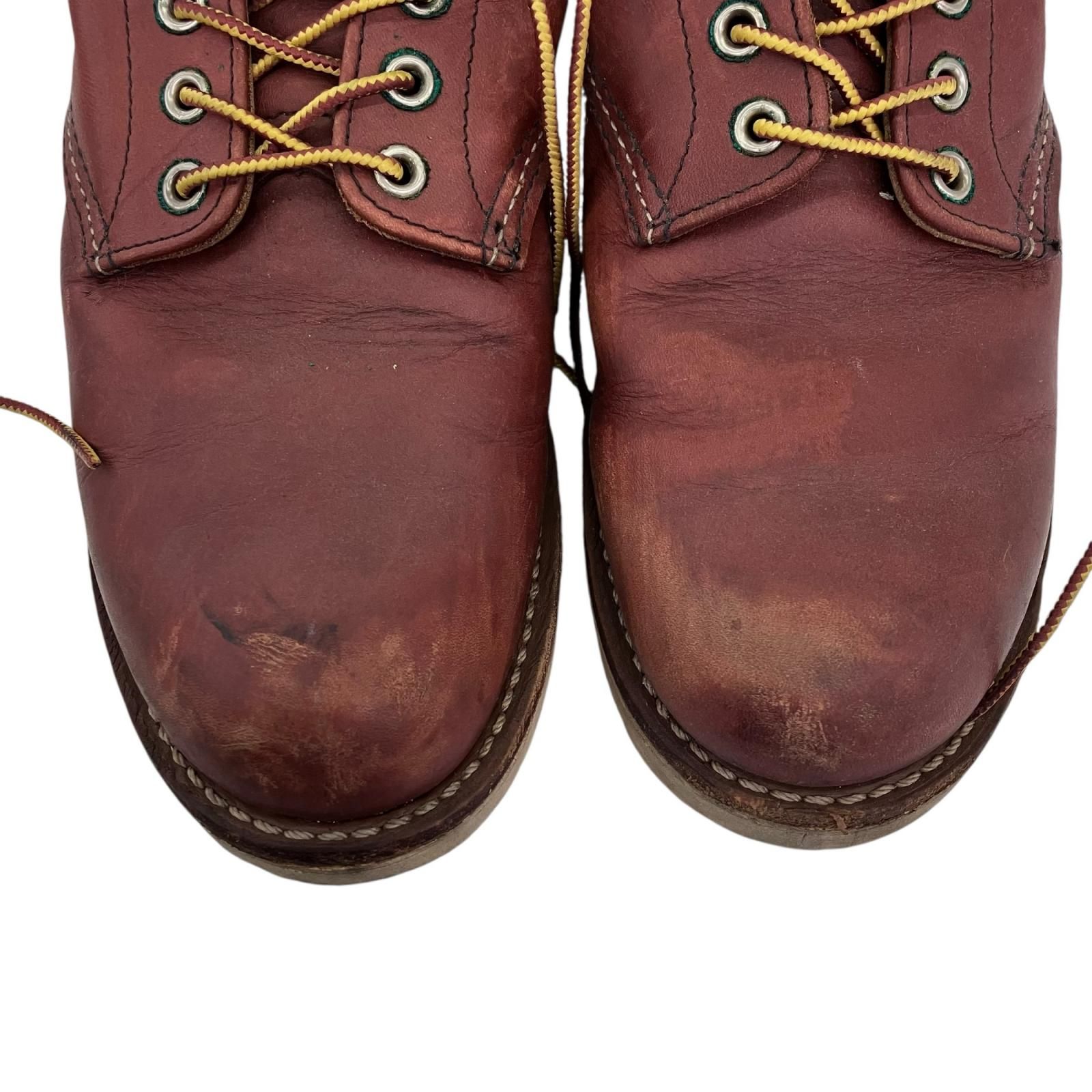 9105 アイリッシュセッター