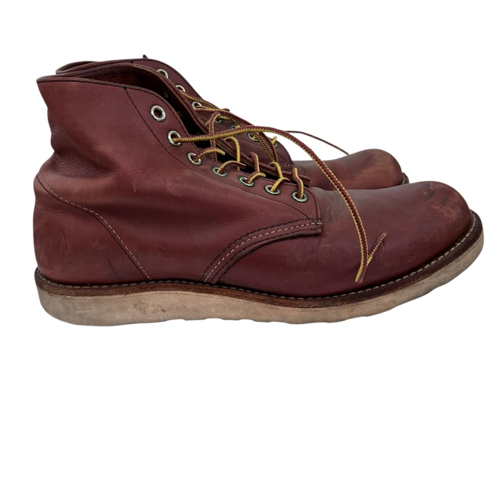 アイリッシュセッター