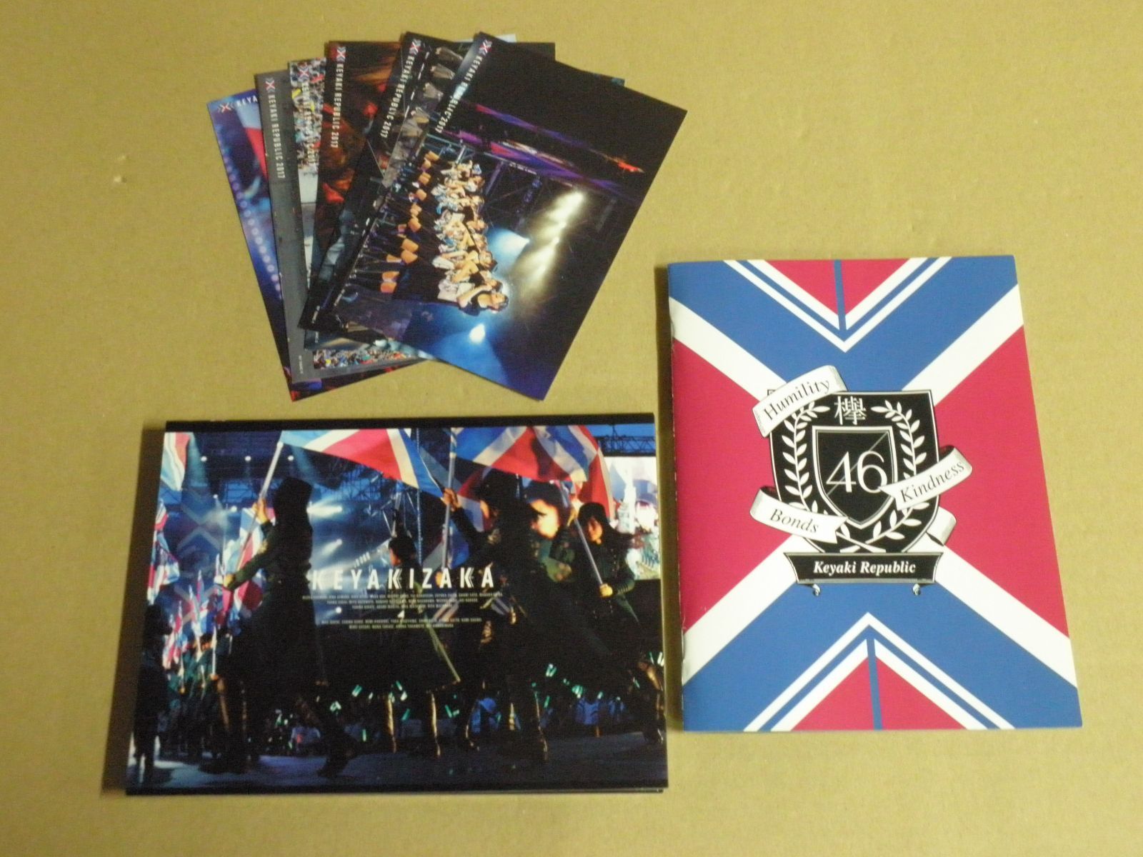 Blu-ray】欅坂46 欅共和国2017［初回生産限定盤］ - メルカリ