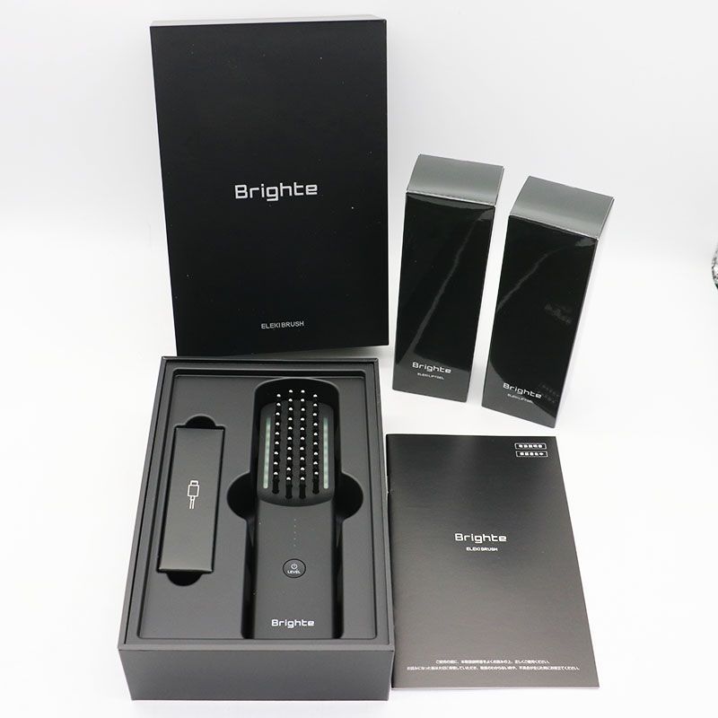 未使用 Brighte ELEKI BRUSH BRT-FS145B ブライトエレキブラシ+エレキ